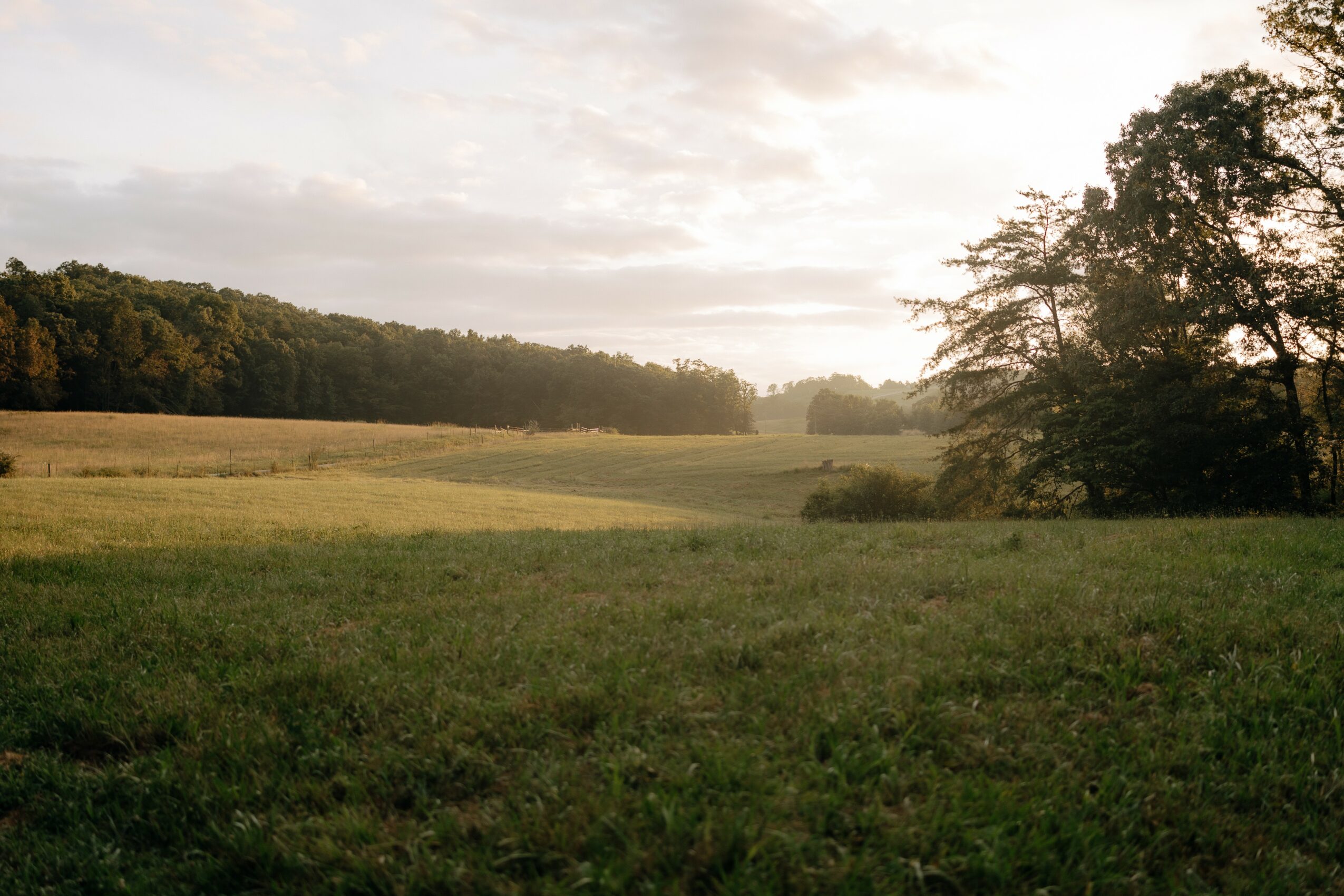 Open field with grass, trees on the right, and a cloudy sky with sunlight in the background.